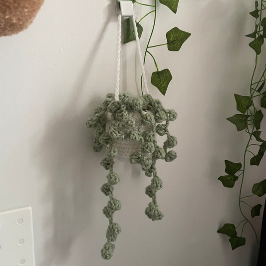 Hanging String of Pearls